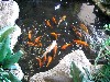 IMG_0215.jpg